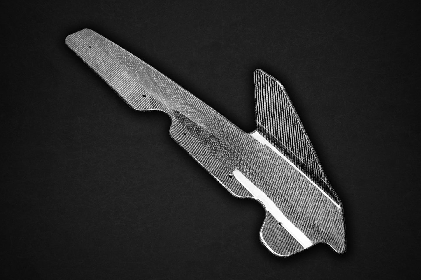 Capristo Audi R8 (Gen2) Facelift - Carbon Fiber Side Fins